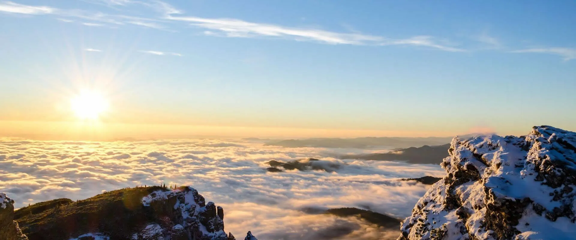 Engaged with a renowned industry leader